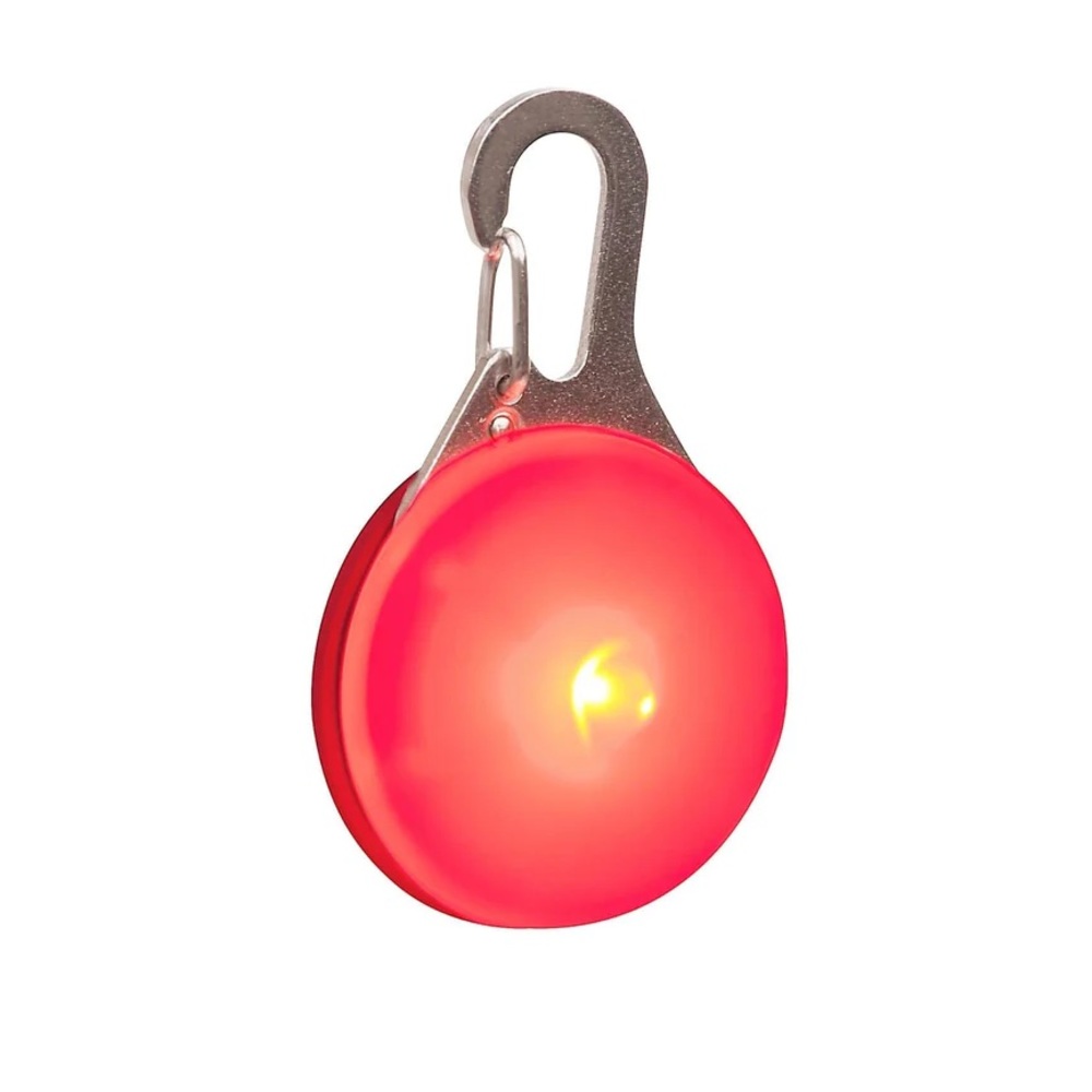 Clip-on LED Light